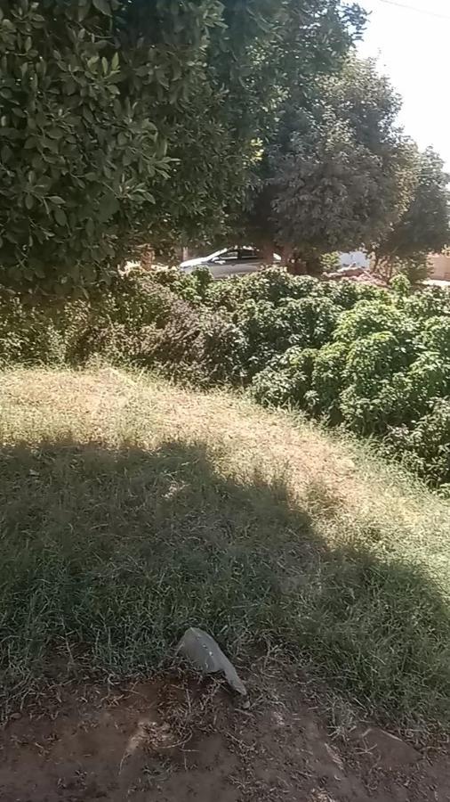 بيت شمس أسوان المظهر الخارجي الصورة