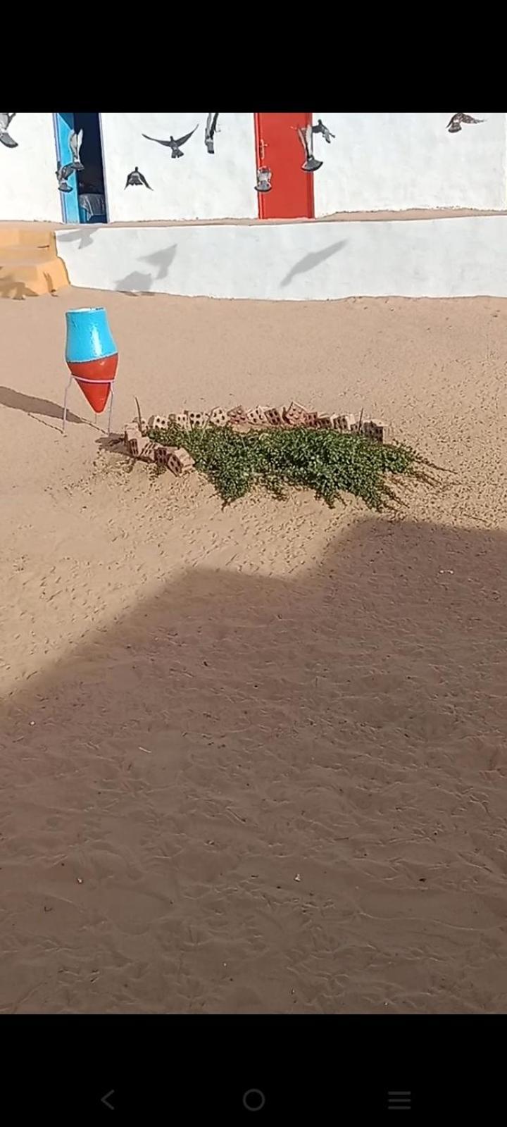 بيت شمس أسوان المظهر الخارجي الصورة