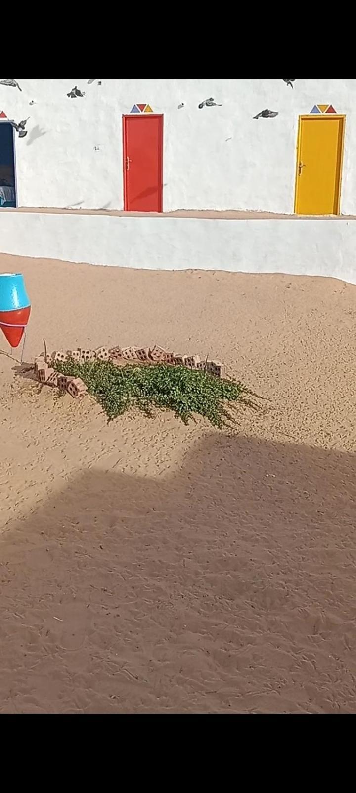 بيت شمس أسوان المظهر الخارجي الصورة